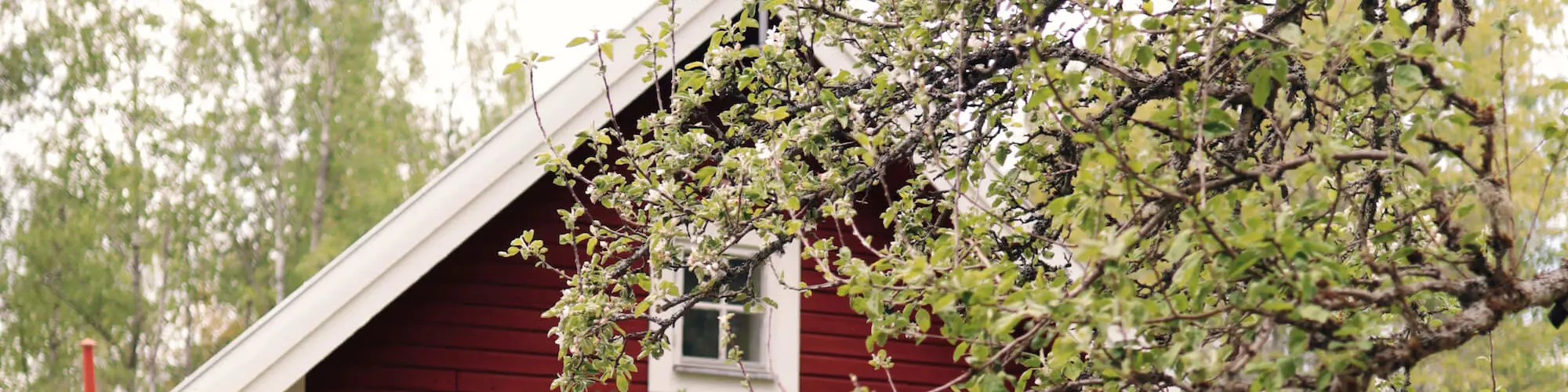 Ulrika Hus