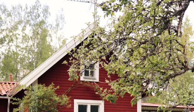 Ulrika Hus