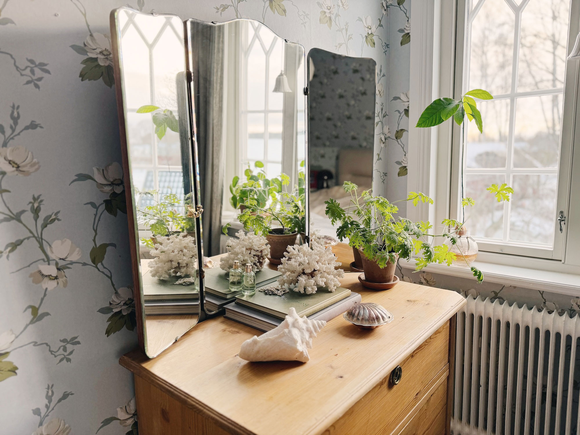 8DECFFF4 891E 4E11 A1BA 36BB0C58905D (Kopia)