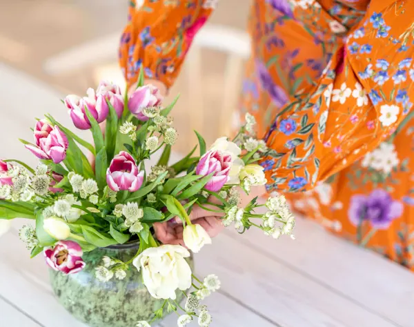 Ulrika Colorelles 16