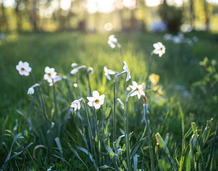 Image00001