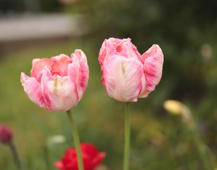 Image00005